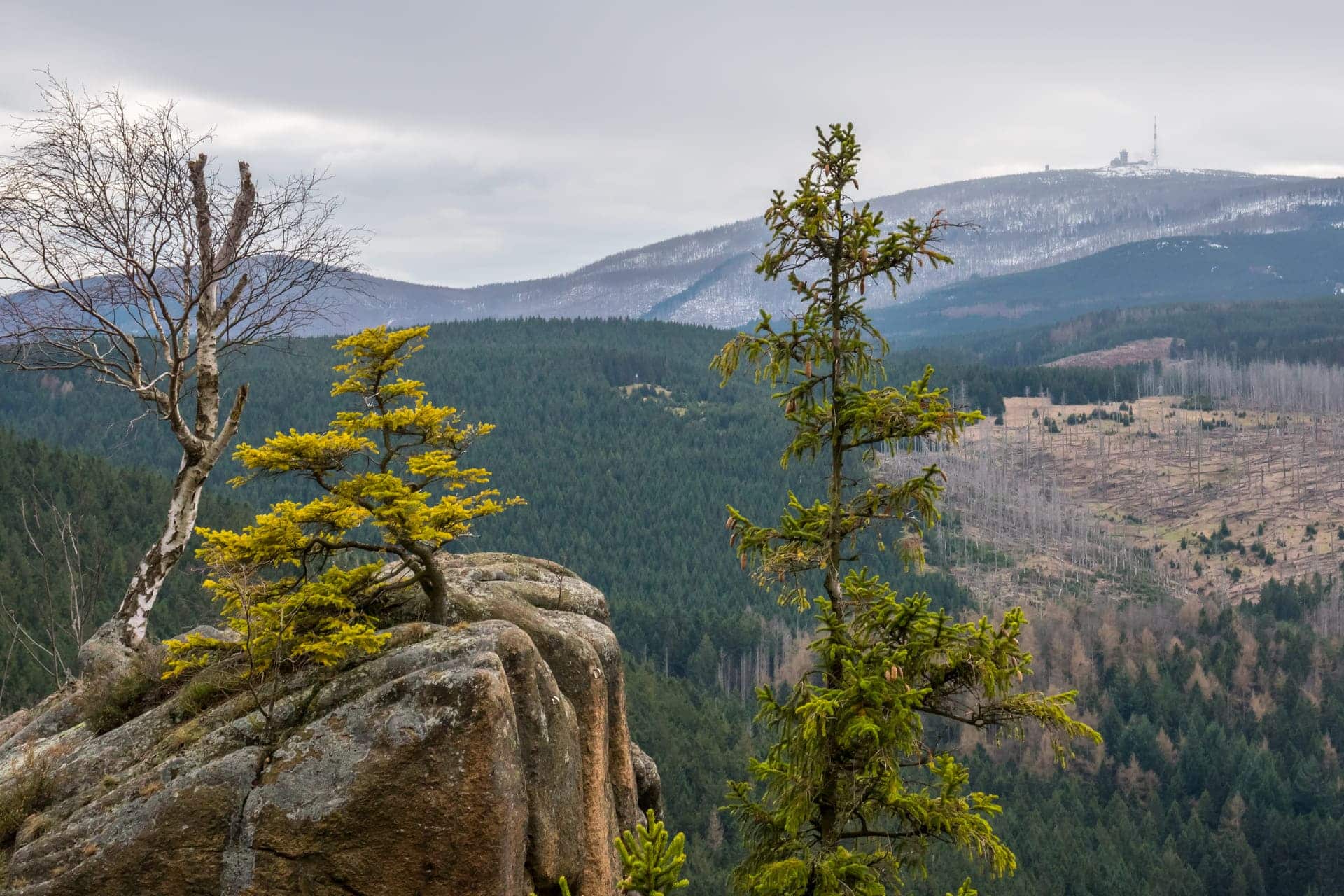 brocken wanderung hintergrund