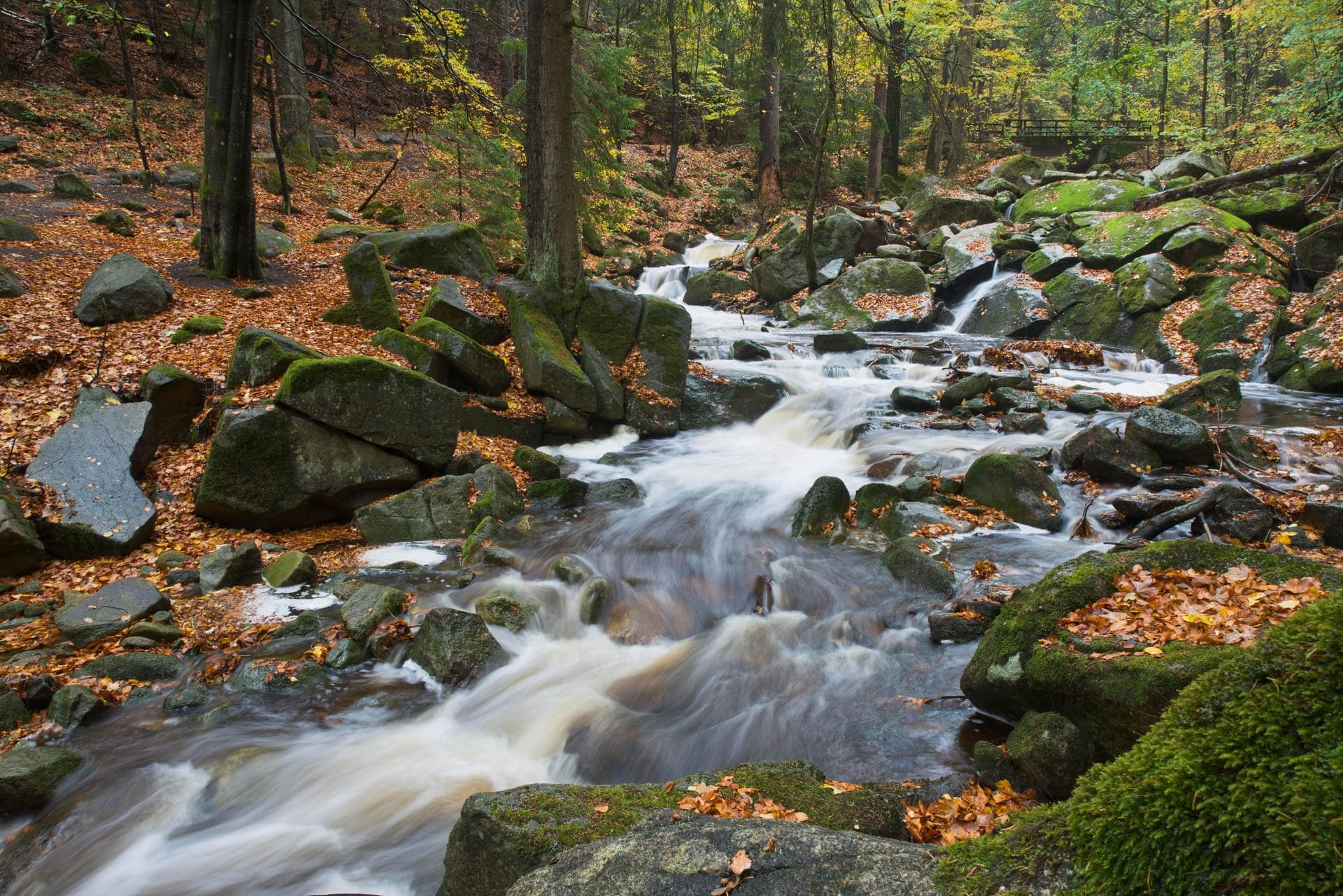 ilsetal harz hintergrund